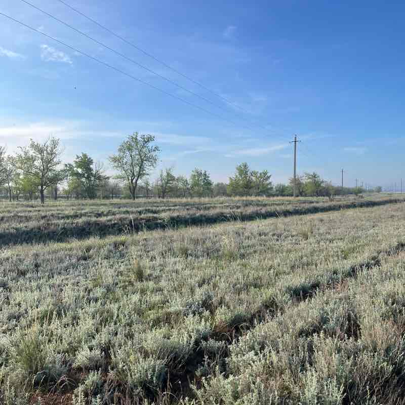 Салауатты өмір салты Салауатты өмір салты post image