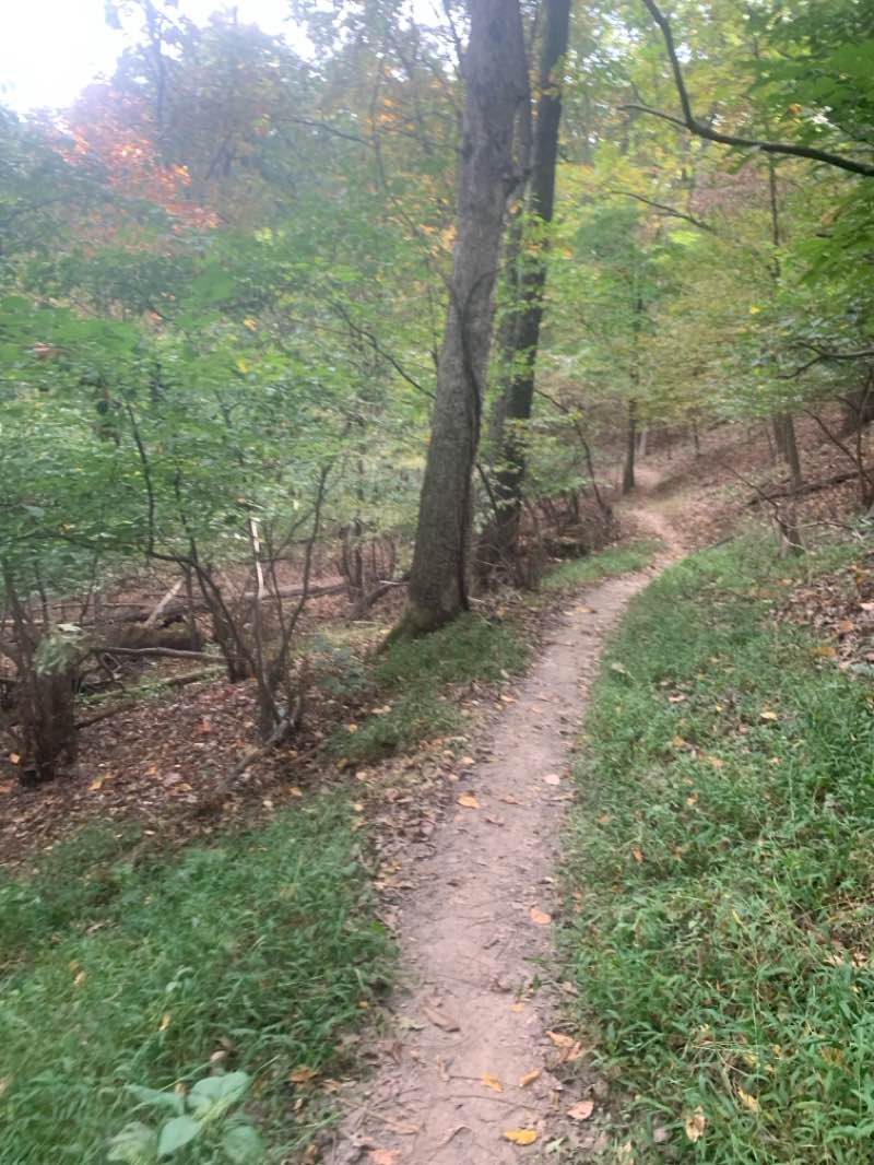 walking near me in Greensfelder County Park in autumn