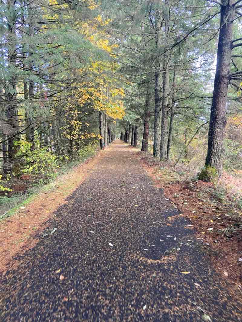 walking near me in Heritage Park in autumn