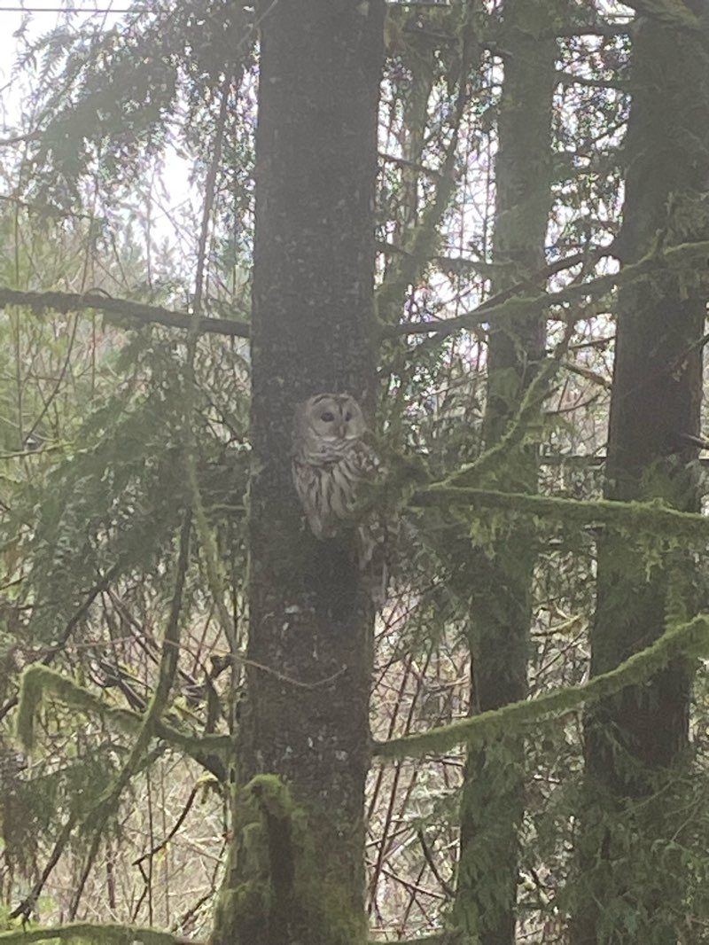 walking near me in Heritage Park in winter