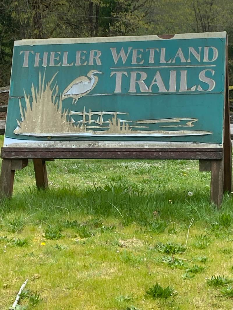 walking near me in Union River Wildlife Area in spring
