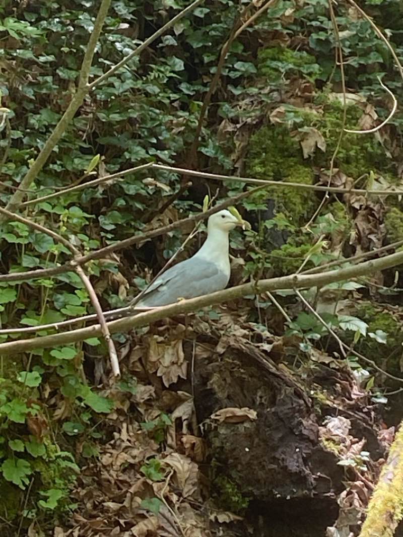 walking near me in Garfield Nature Trail Park in spring