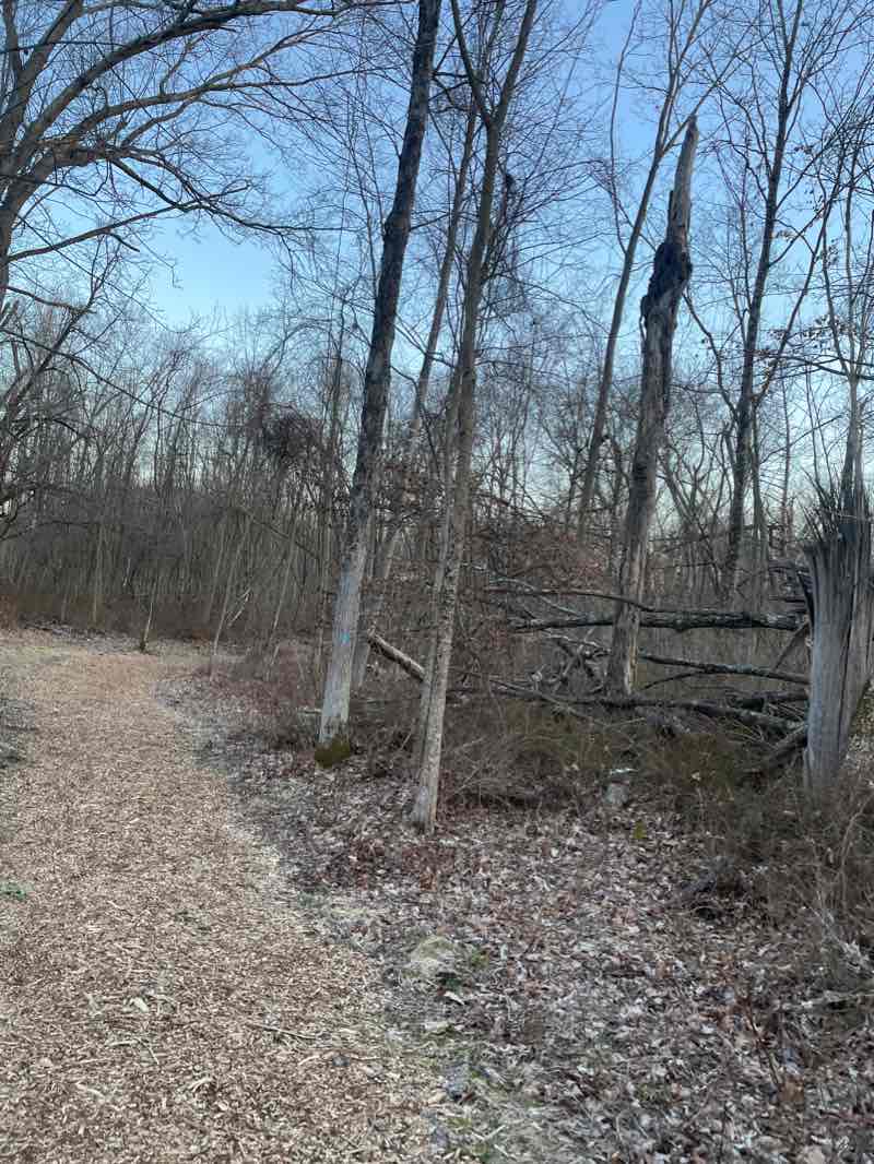 walking near me in Brookfield Municipal Center in winter
