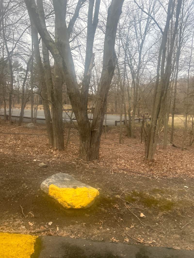 walking near me in Hop Brook Park in winter