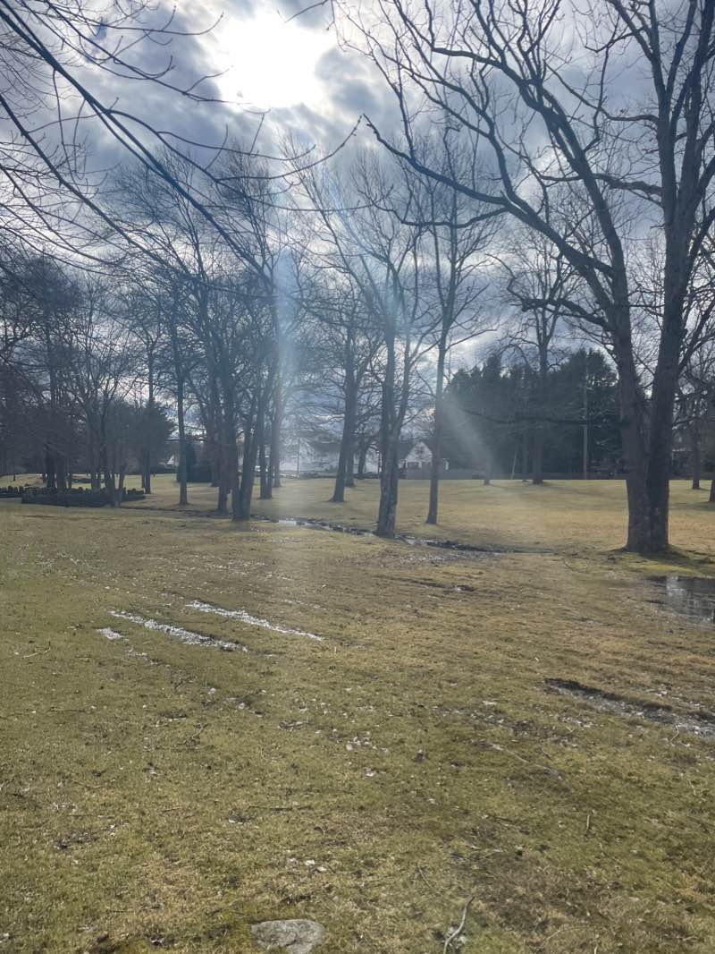 walking near me in Lewis Fulton Memorial Park in winter