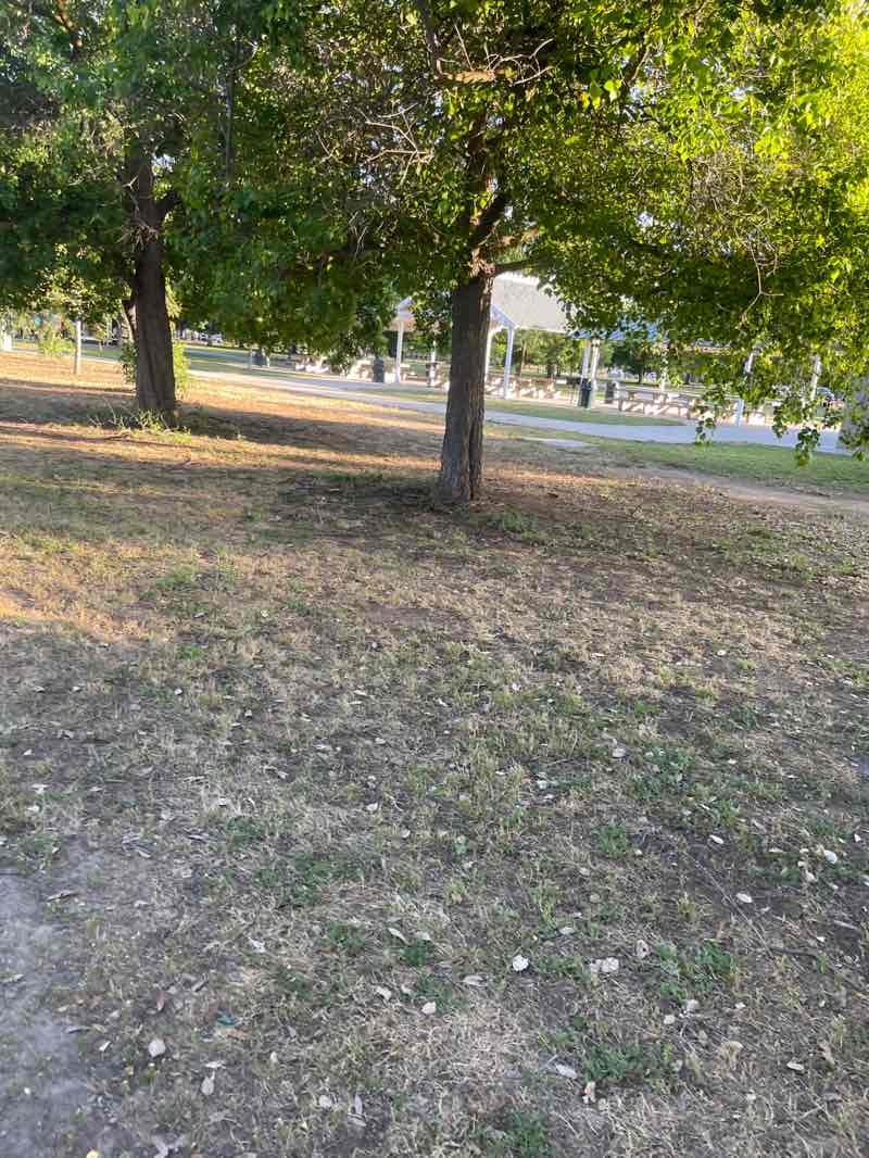 walking near me in Railroad Park in spring