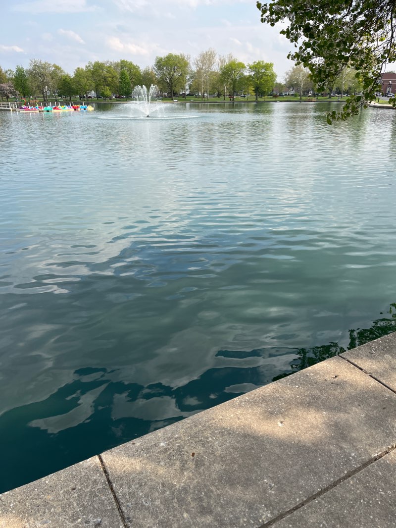 walking near me in Mineral Springs Park in winter