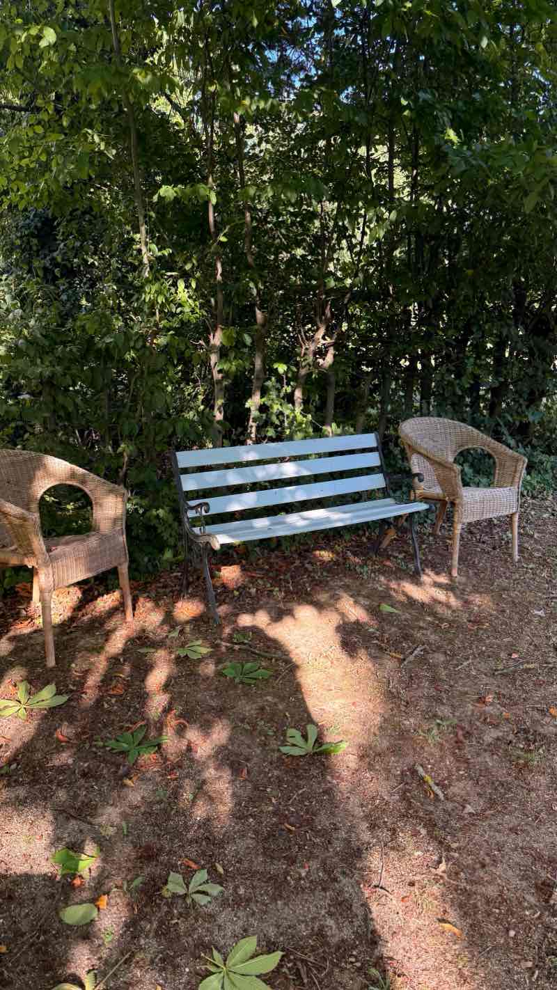 walking near me in Feldbergplatz in summer