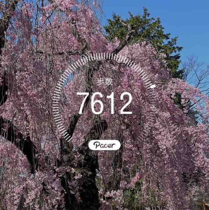 yuhuにゃん post 1