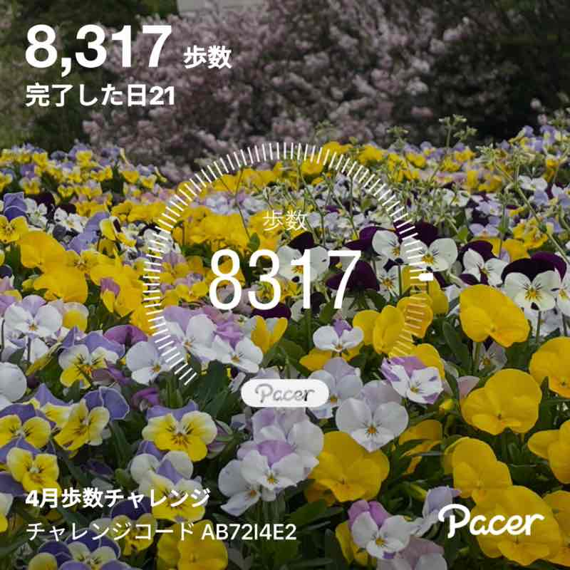 yuhuにゃん post 1