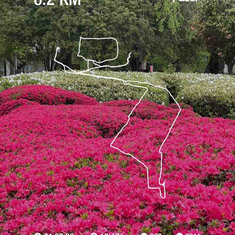 yuhuにゃん post 2