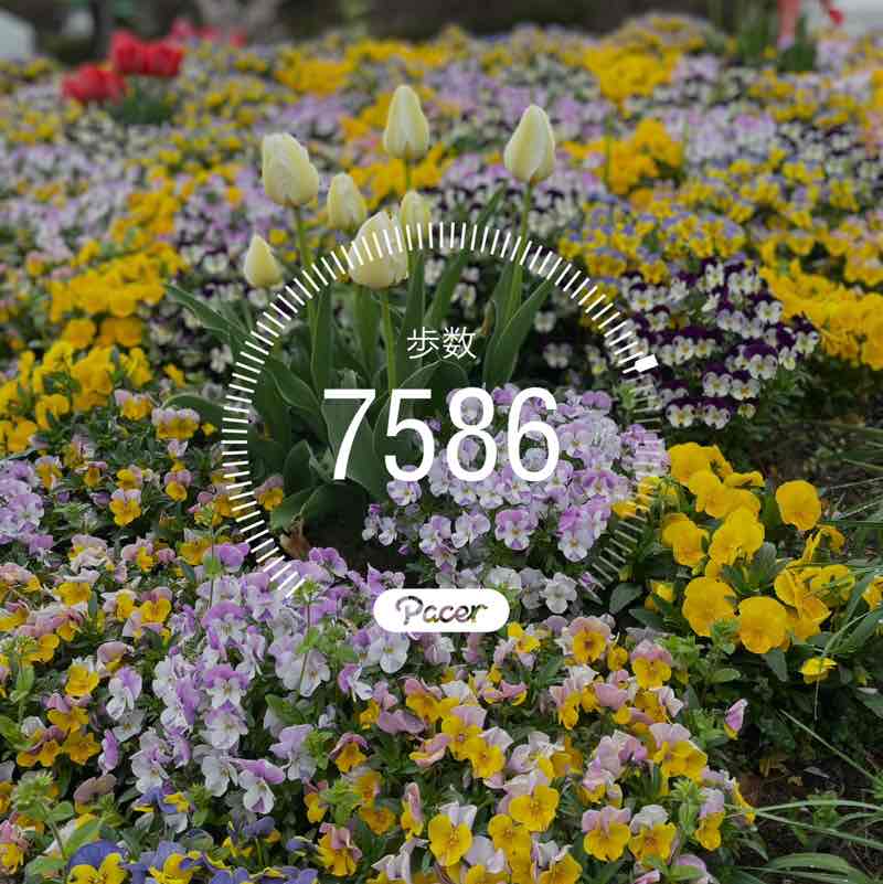 yuhuにゃん post 1