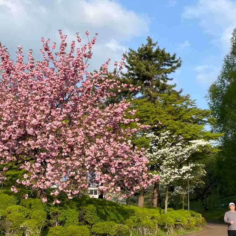 yuhuにゃん post 3