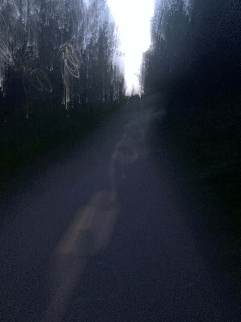 walking near me in Parc Équestre in winter