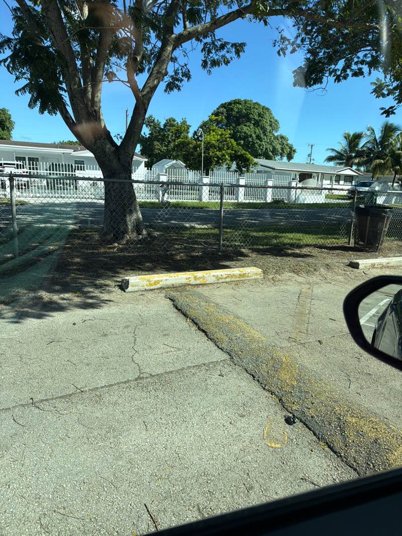 walking near me in AJ King Park in autumn