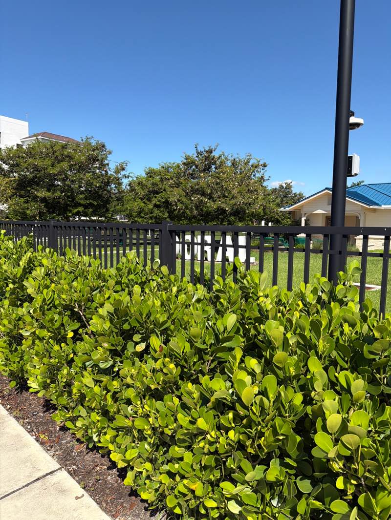 walking near me in Doral White Course Park in autumn