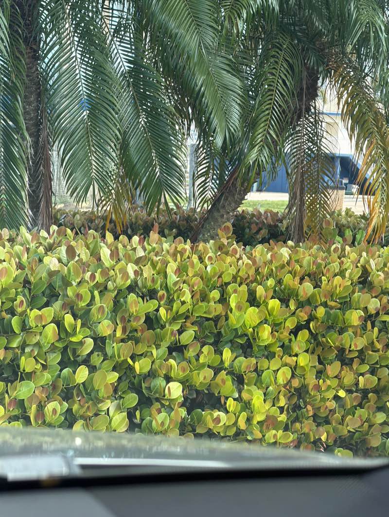 walking near me in Fleischmann Park in autumn