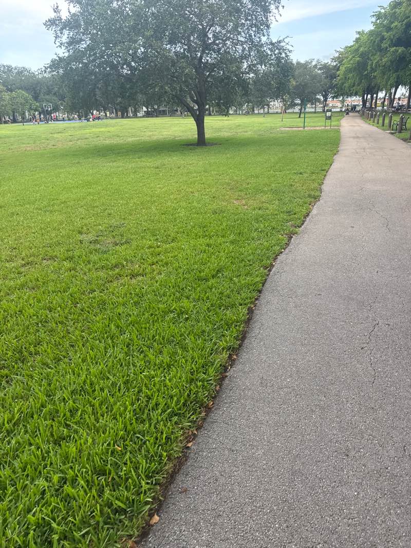 walking near me in Miami Lakes Picnic Park West in spring