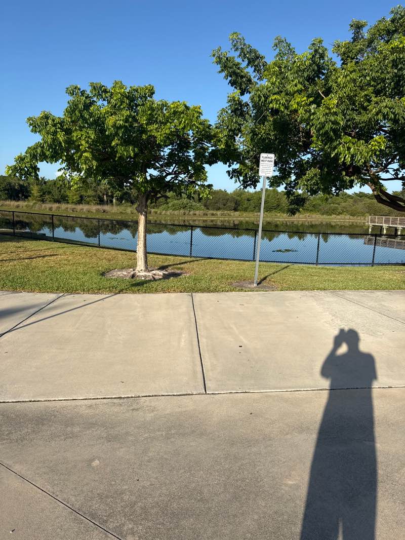 walking near me in Flamingo West Park in autumn