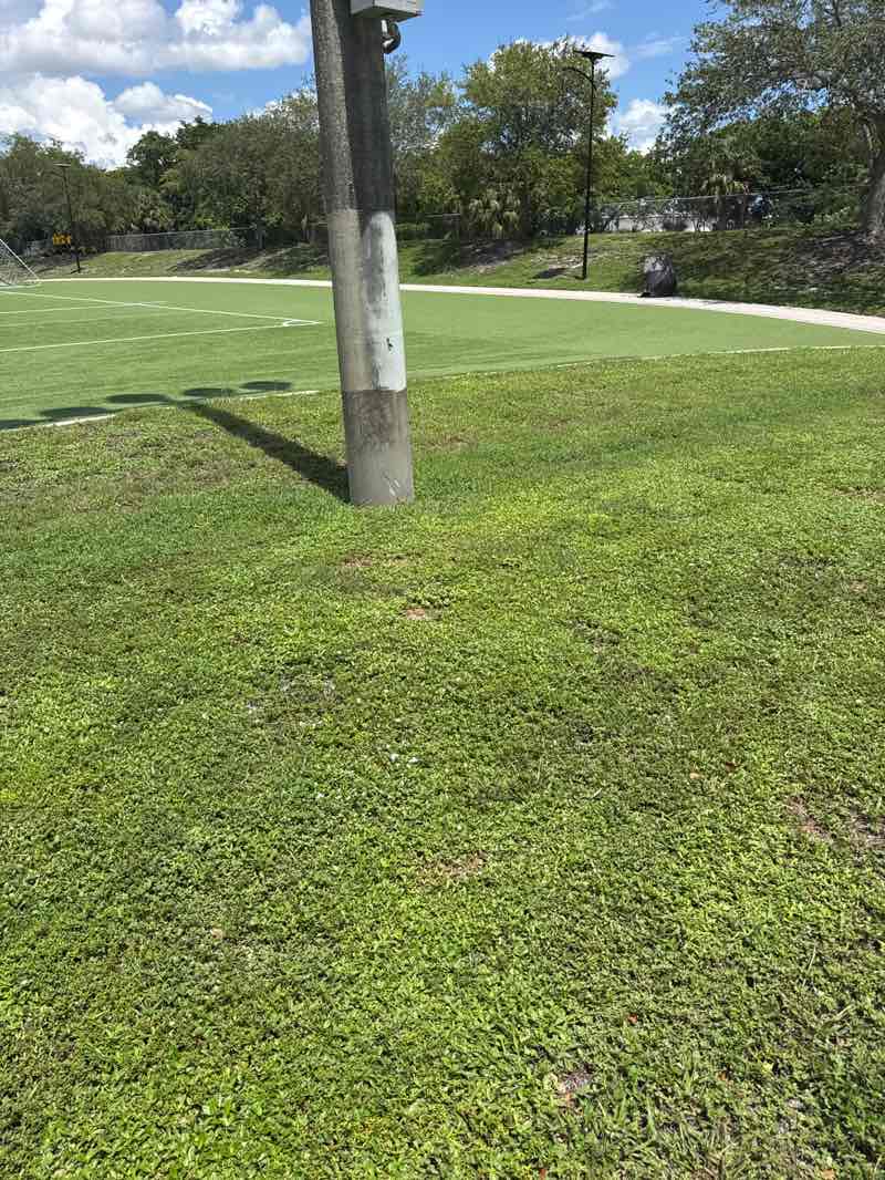 walking near me in Cypress Park East in autumn