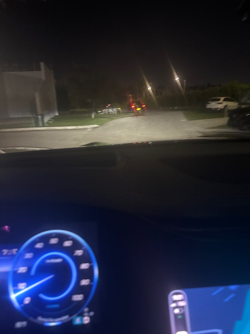 walking near me in Westland Garden Park in autumn