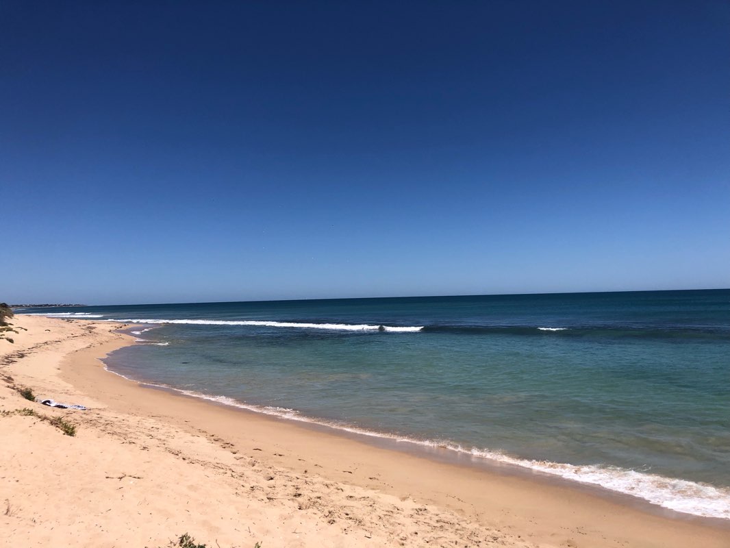 walking near me in Victor Adam Park in summer