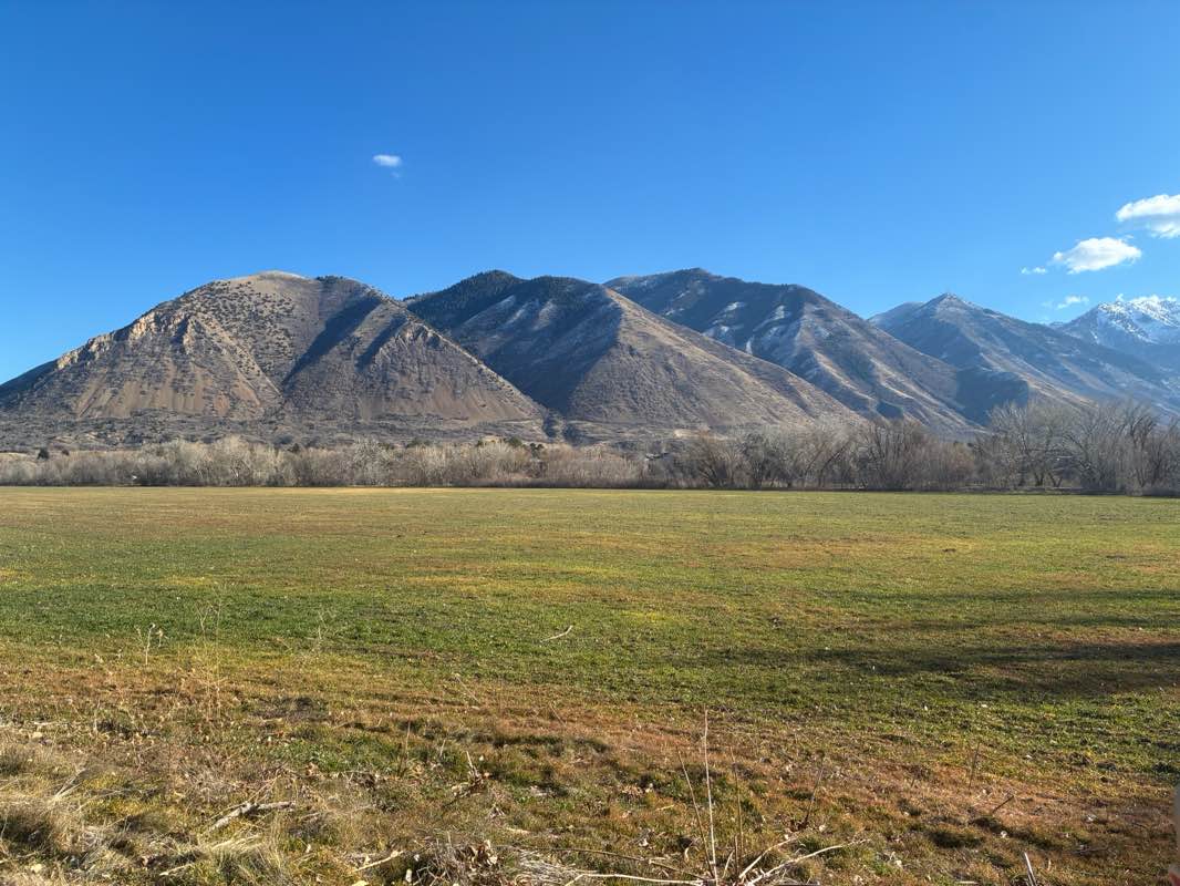 walking near me in Canyon View Park in winter