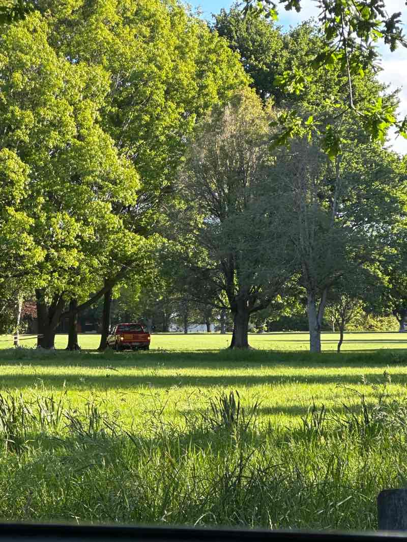 walking near me in Fendalton Park in spring