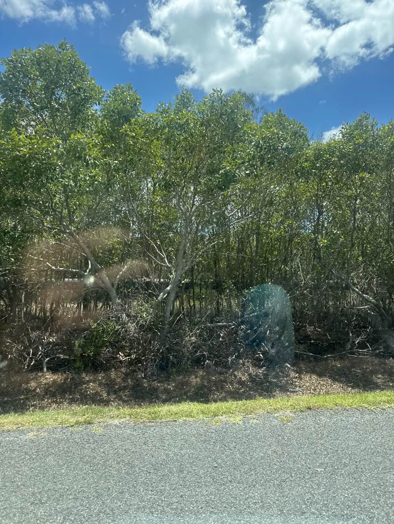 walking near me in Coombabah Lake Conservation Park in summer