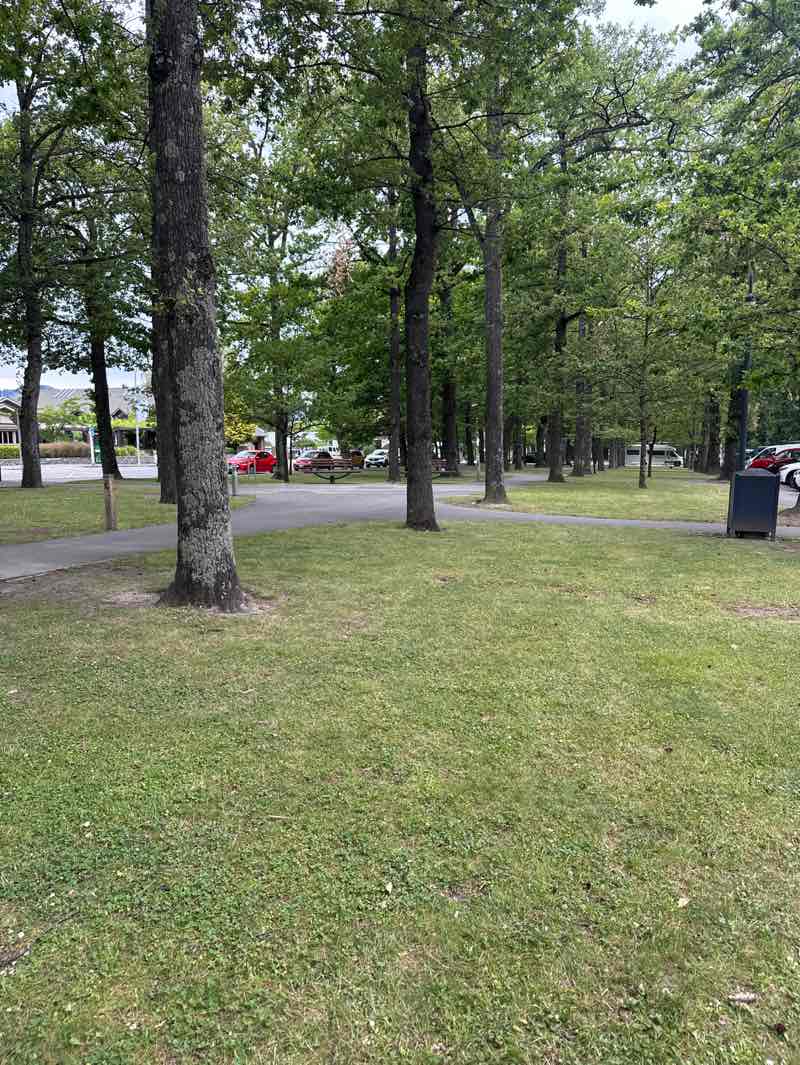 walking near me in Amuri Avenue Reserve in summer