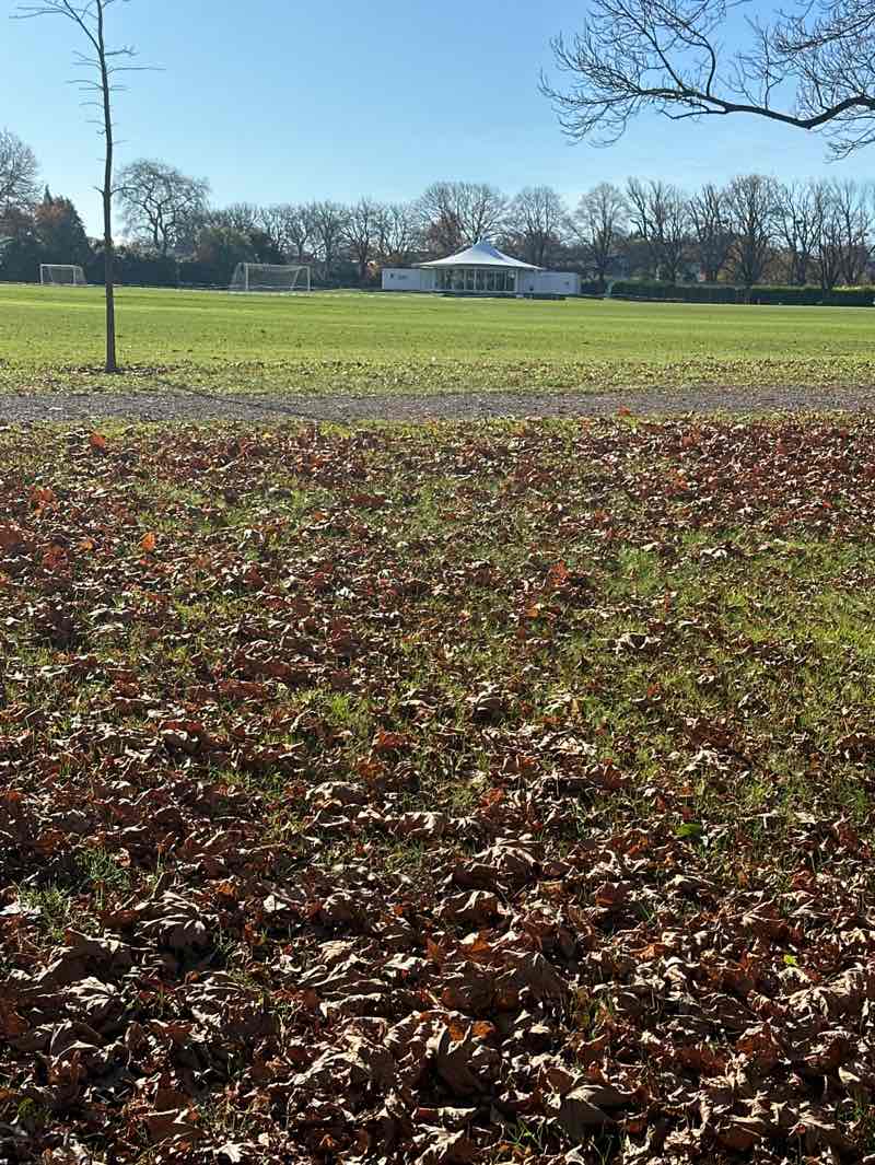 walking near me in Elmwood Park in autumn