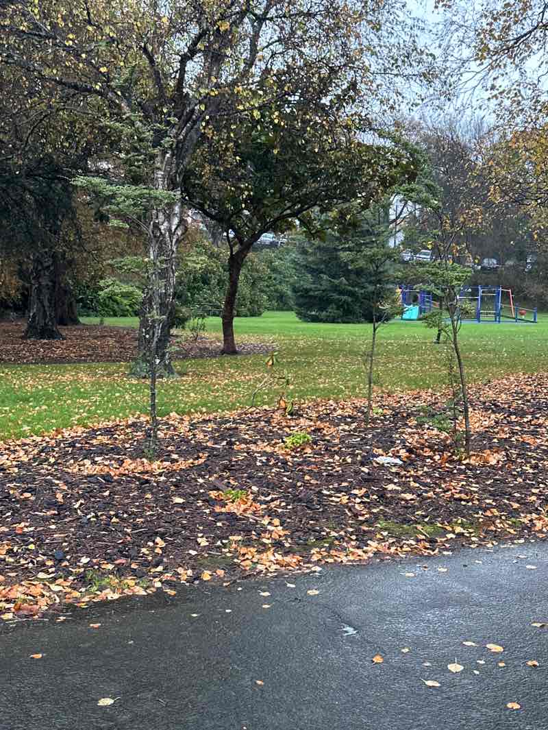 walking near me in Market Reserve in autumn