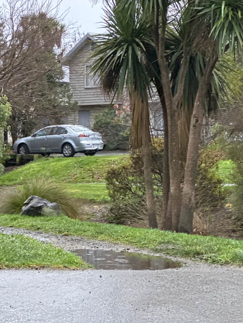 walking near me in Bradford Park in spring