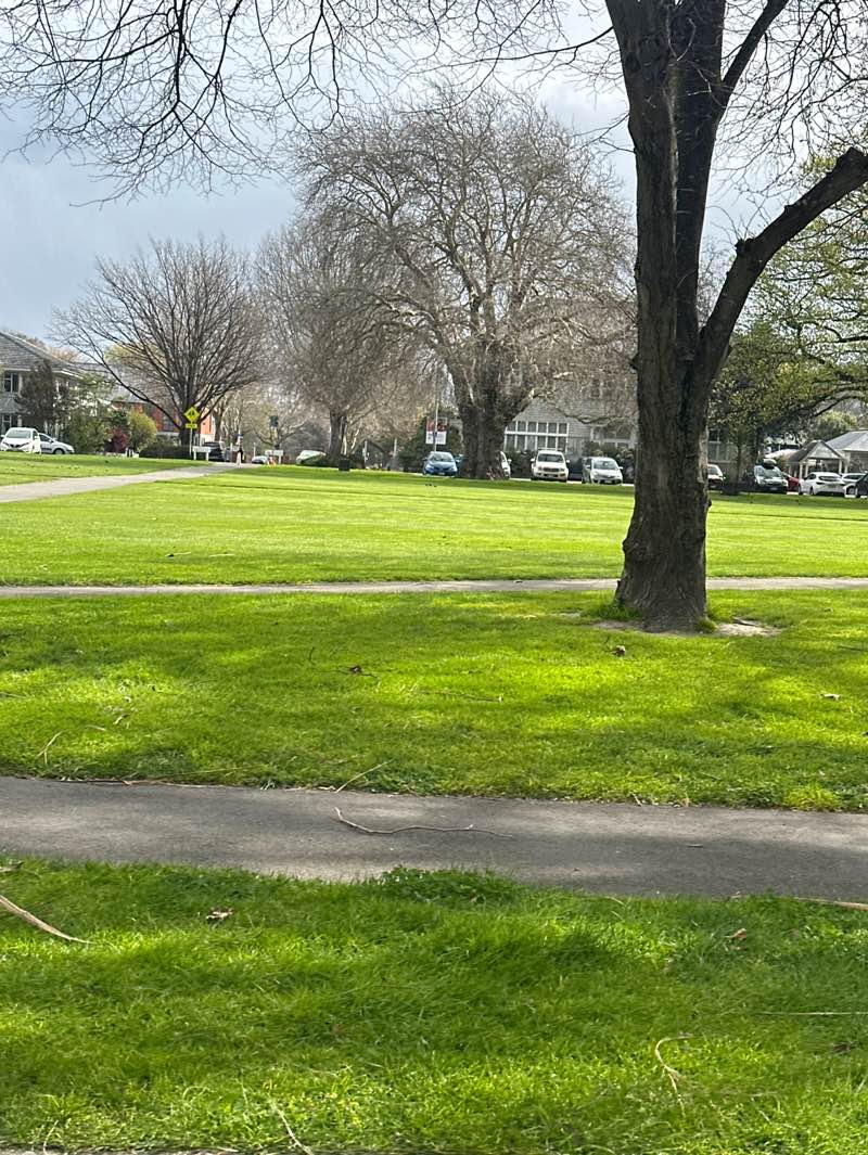 walking near me in Cranmer Square in spring