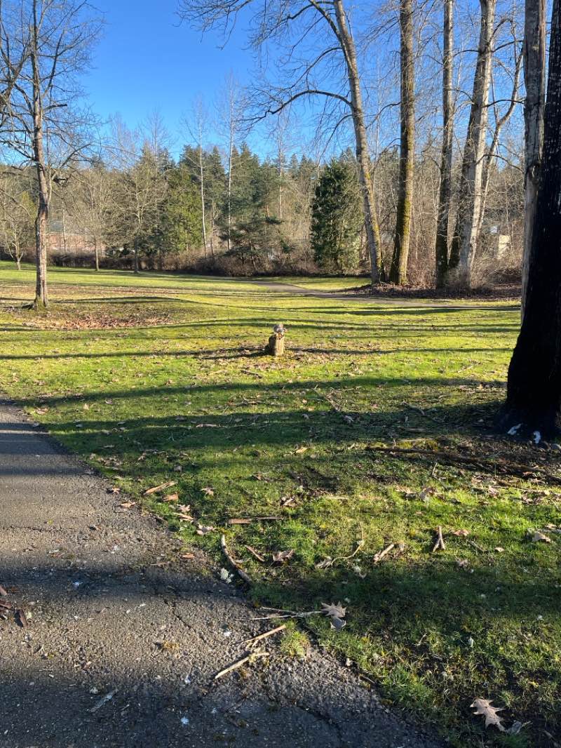 walking near me in Roegner Park in winter
