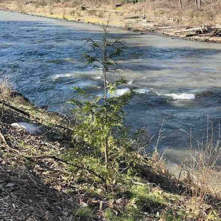 danceking1993 post 1