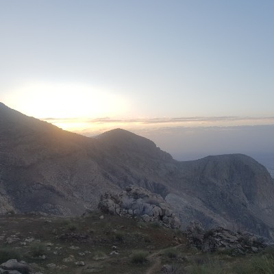 Healthy Mates🏃🏼‍♀️🏃🏽‍♂️ Mehrdad post image