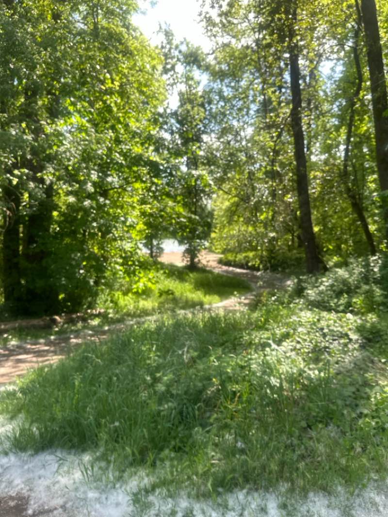 walking near me in Alton Baker Park in spring