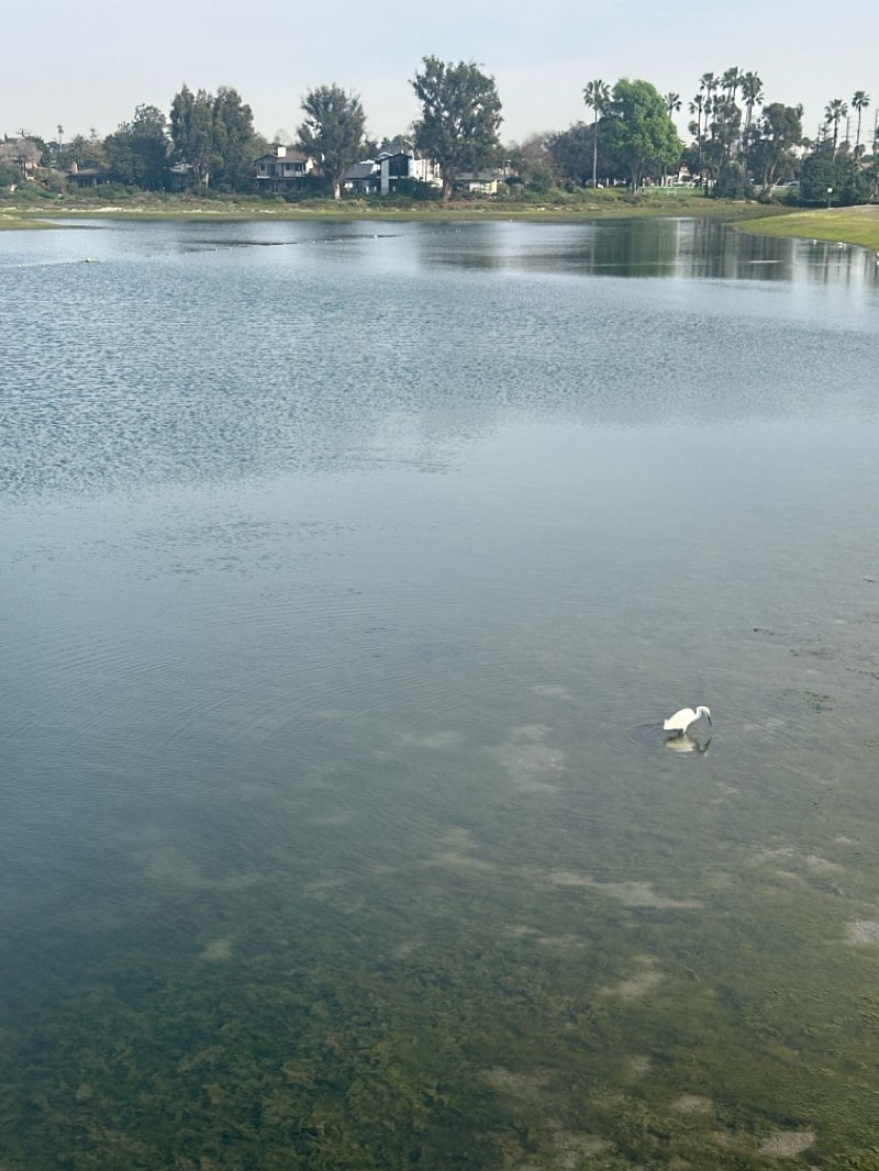 walking near me in Colorado Lagoon Park in winter