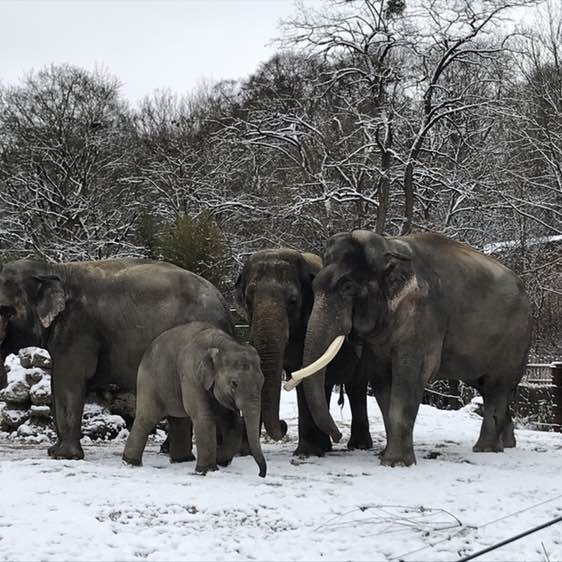 StayFit! Jessica post image