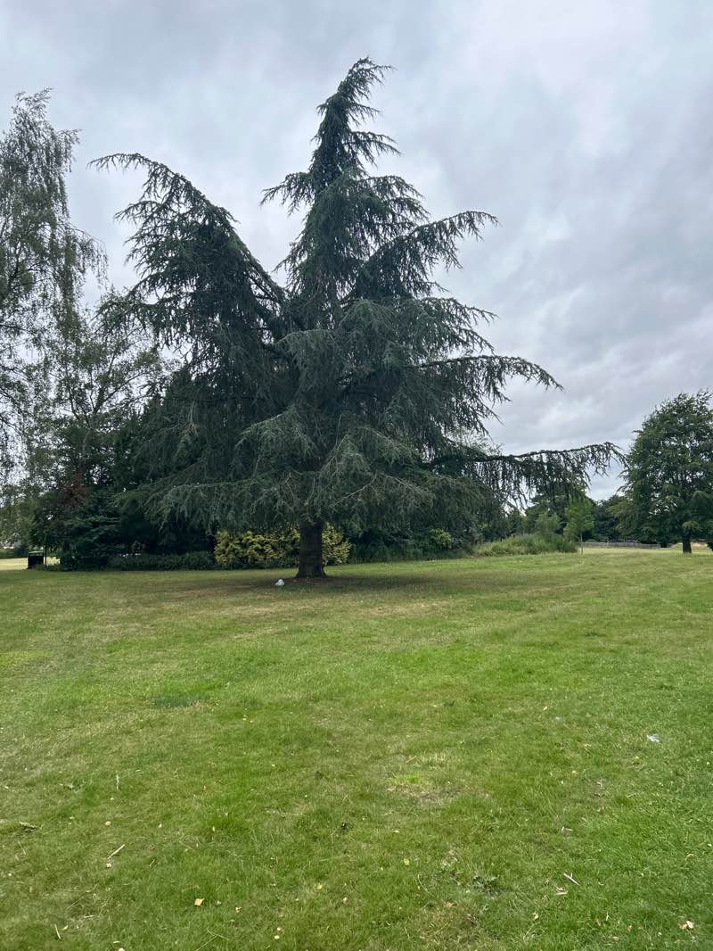 walking near me in Evington Park in summer