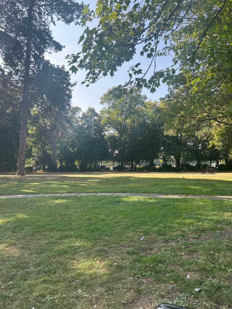 walking near me in St Mary’s Triangle in autumn