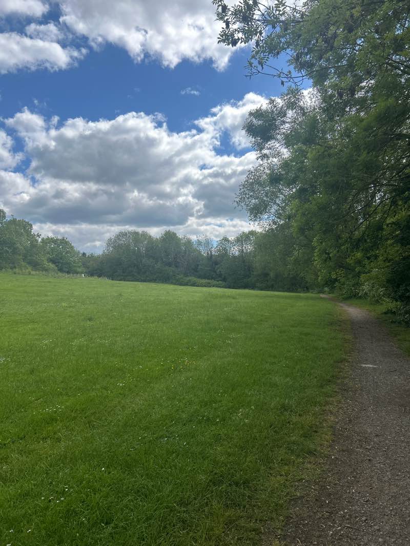walking near me in Willowbrook Park in spring