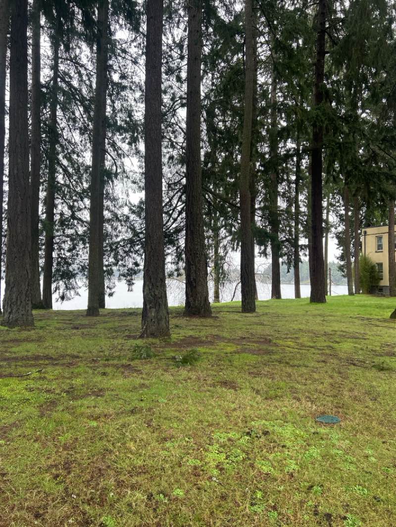 walking near me in American Lake Park in spring