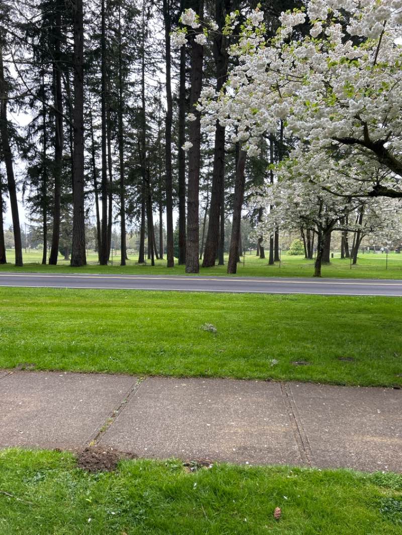 walking near me in American Lake Park in spring
