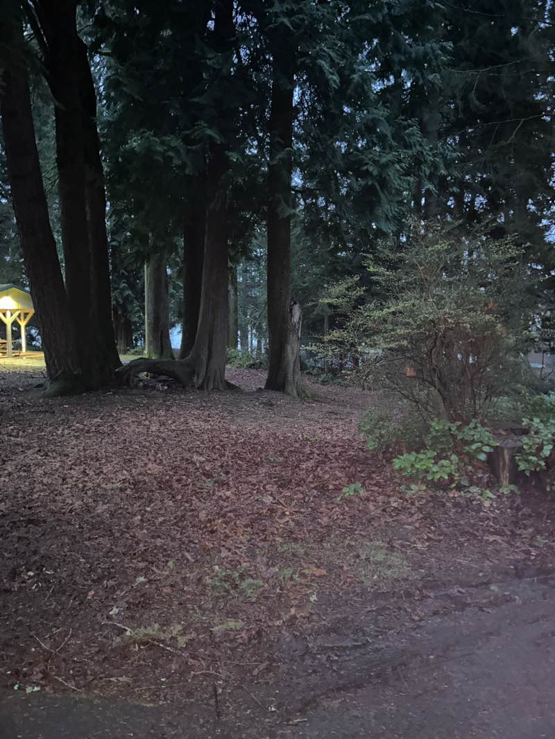 walking near me in Thornton A Sullivan Park in spring