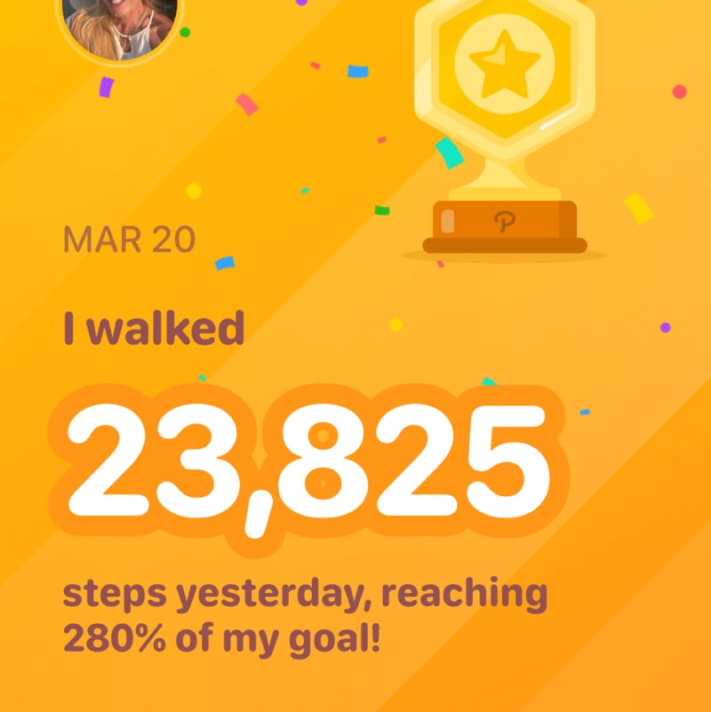 lisa 🇺🇸🦮🏃‍♀️🇺🇸 post 1