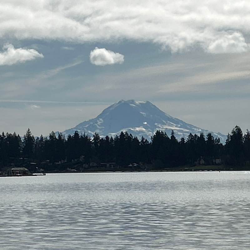 lisa 🇺🇸🦮🏃‍♀️🇺🇸 post 1