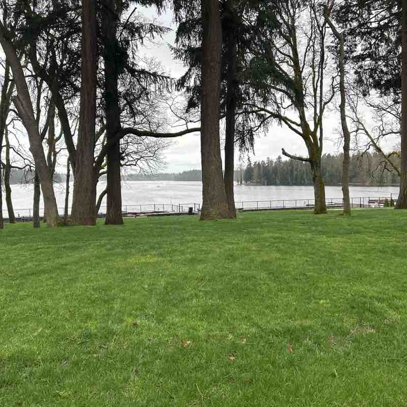 lisa 🇺🇸🦮🏃‍♀️🇺🇸 post 1