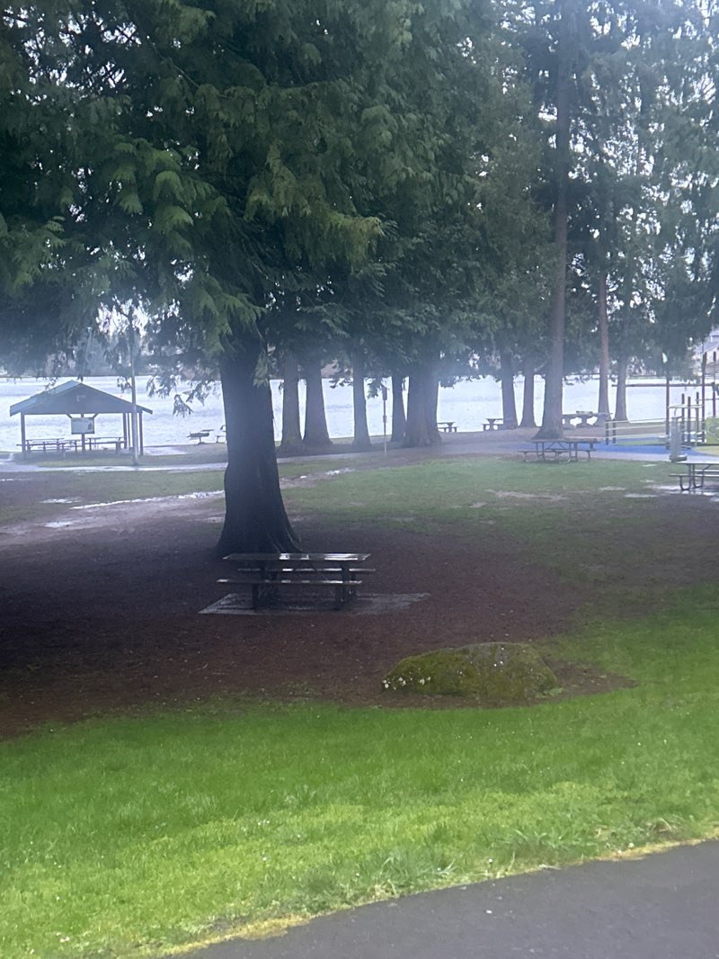 walking near me in Thornton A Sullivan Park in spring